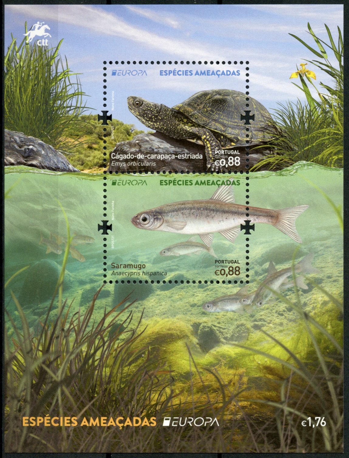 Portugal Europa Stamps 2021 MNH Endangered Natl Wildlife Fish Turtles Reptiles 2v M/S