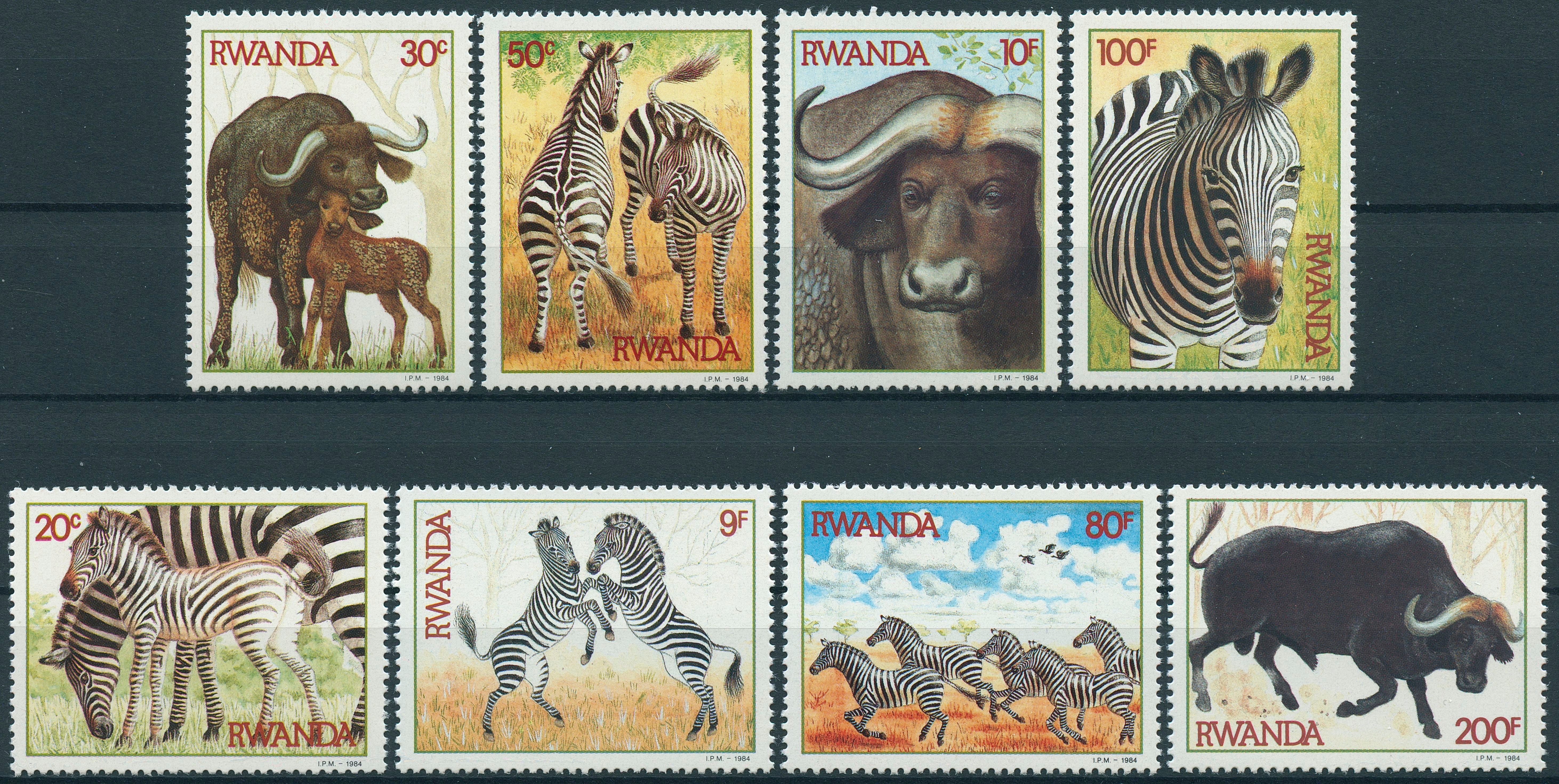 Rwanda 1984 MNH Zebra & African Buffaloes 8v Set Buffalos Wild Animals Stamps