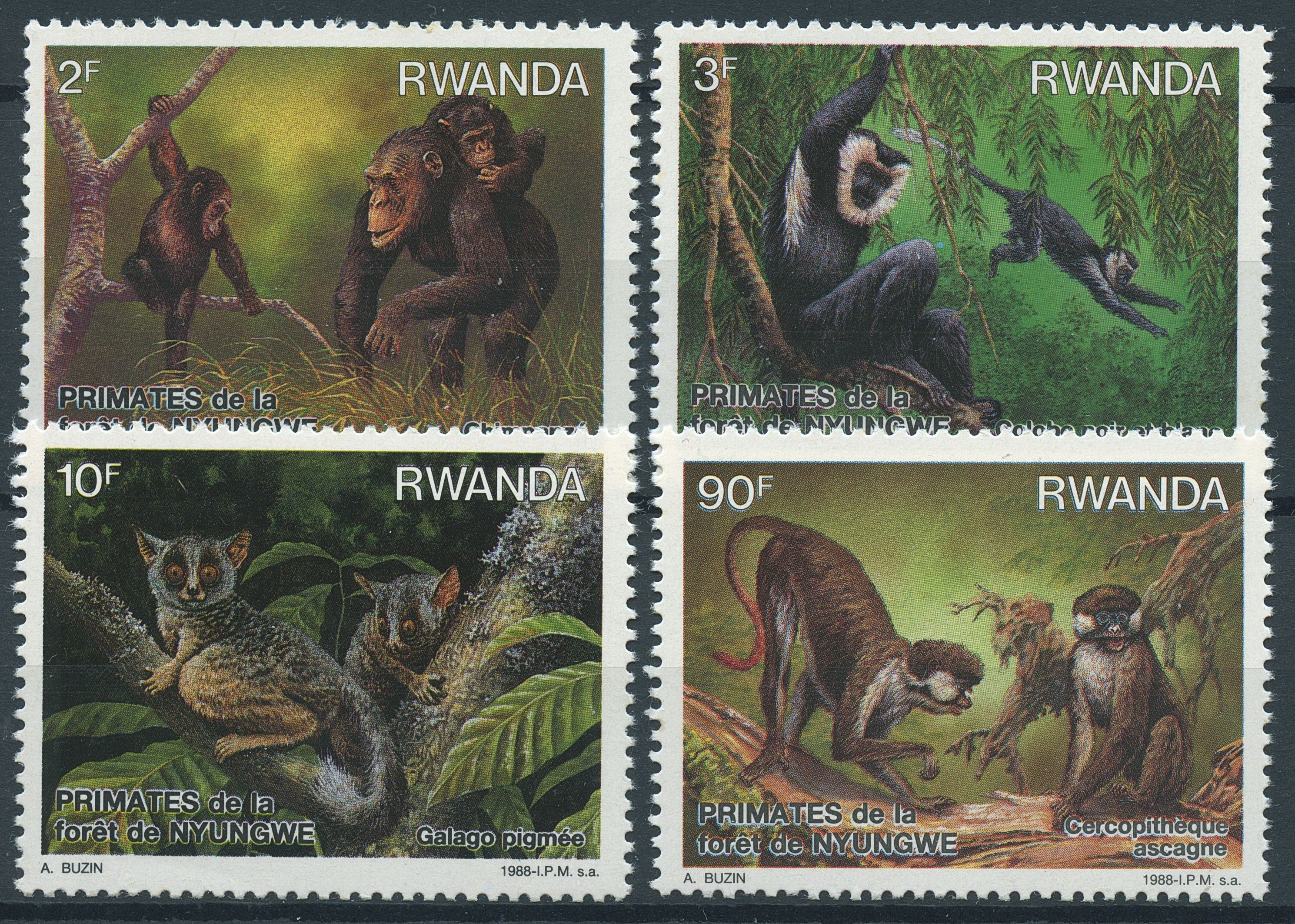 Rwanda 1988 MNH Primates of Nyungwe Forest 4v Set Galago Colobus Monkeys Stamps