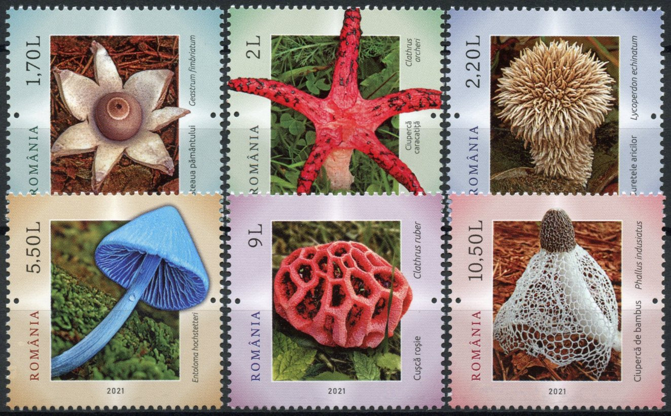 Romania Mushrooms Stamps 2021 MNH Fungi Stinkhorn Puffball Earthstar Nature 6v Set