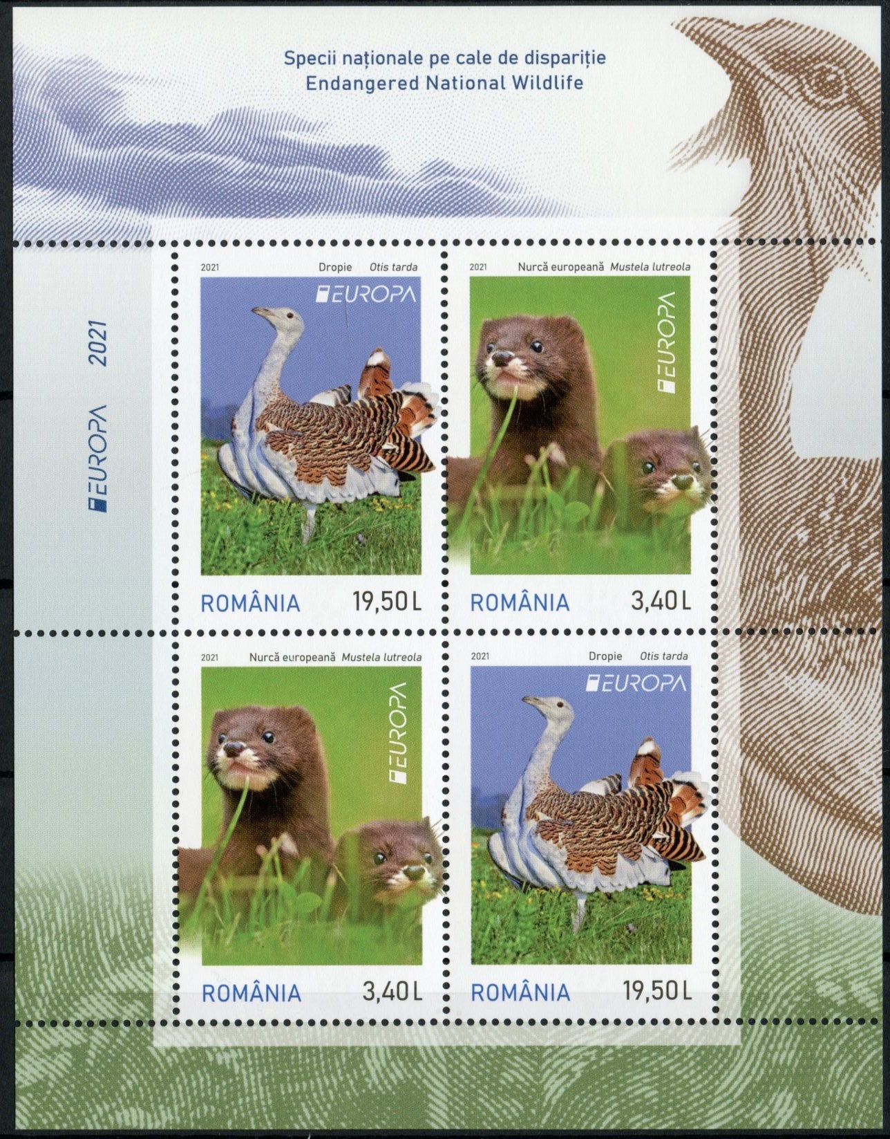 Romania Europa Stamps 2021 MNH Endangered National Wildlife Minks Bustards Birds 4v M/S II