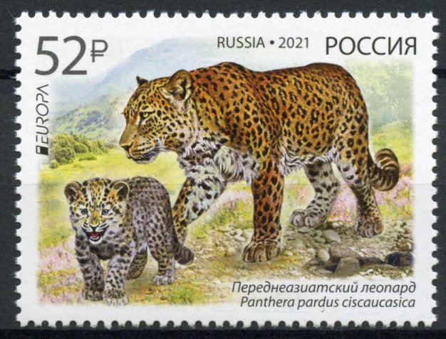 Russia 2021 MNH Wild Animals Stamps Red Book Persian Leopard Leopards Big Cats 1v Set