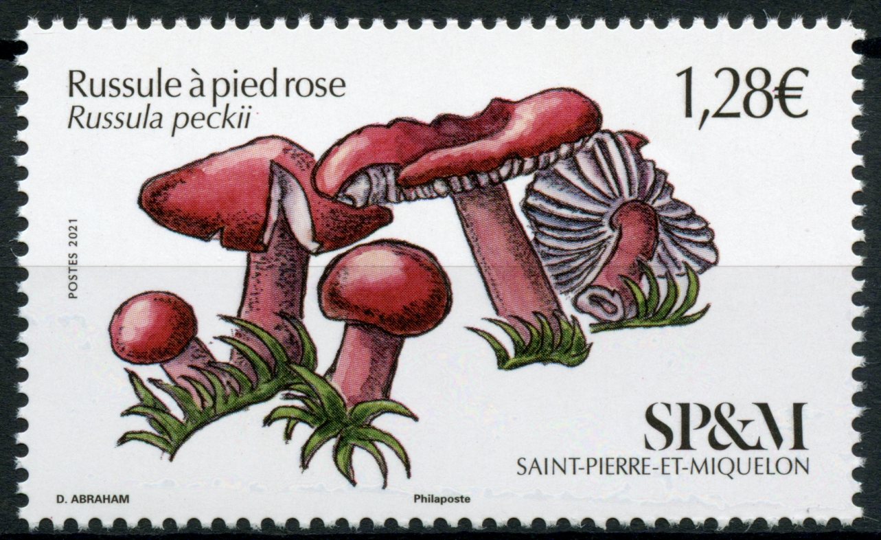 Saint-Pierre & Miquelon SP&M 2021 MNH Mushrooms Stamps Russula Fungi Nature 1v Set