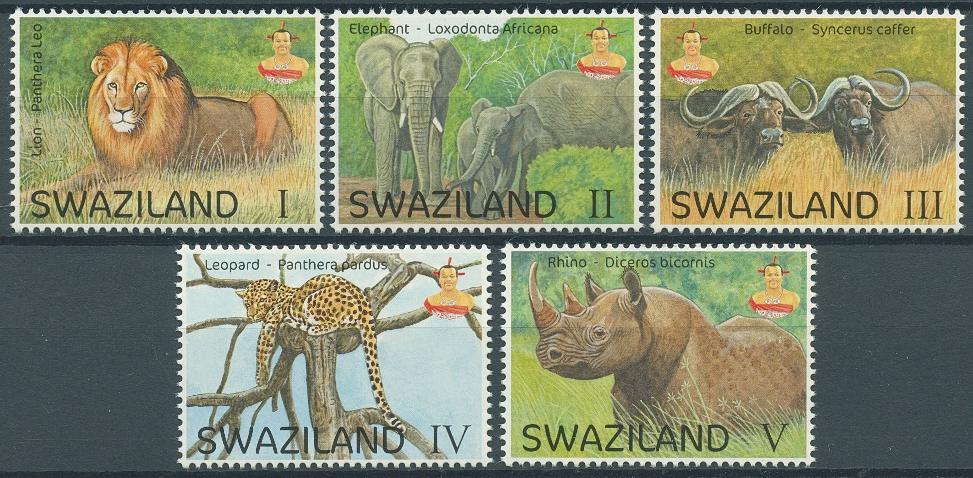 Swaziland 2016 MNH Wild Animals Stamps Big 5 Lions Elephants Rhinos Leopards 5v Set