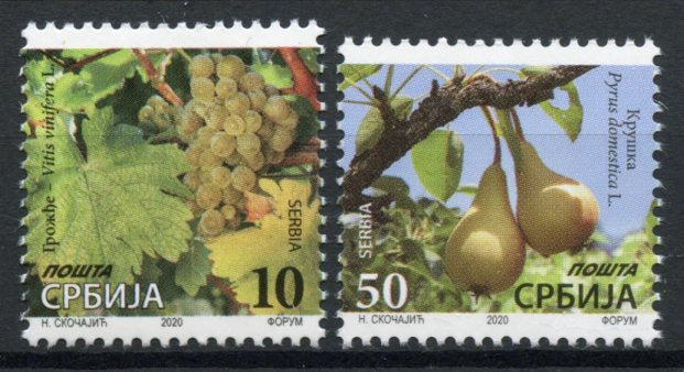 Serbia 2020 MNH Fruits Stamps Definitives New Values Pears Grapes 2v Set