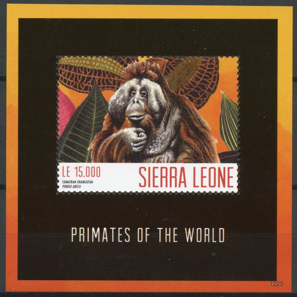 Sierra Leone 2012 MNH Primates of the World 1v Sheet Sumatran Orangutan Monkeys