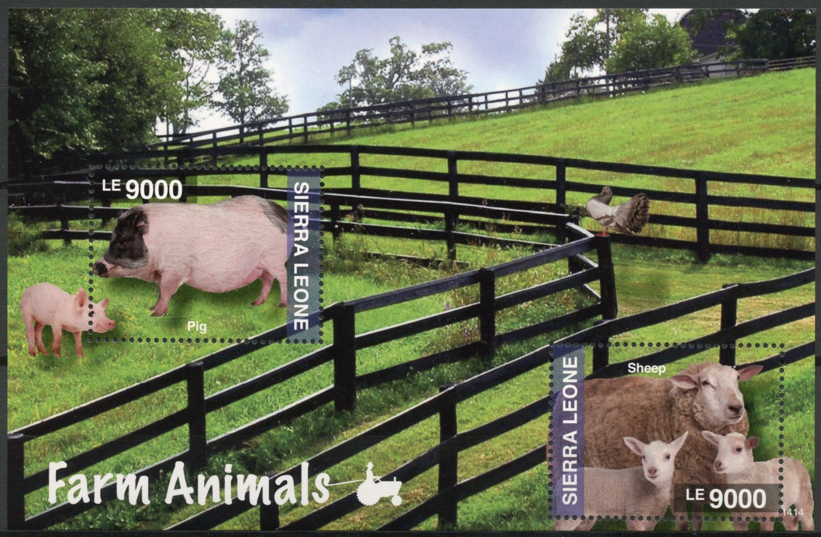 Sierra Leone 2014 MNH Farm Animals 2v S/S II Pigeon Pigs Sheep