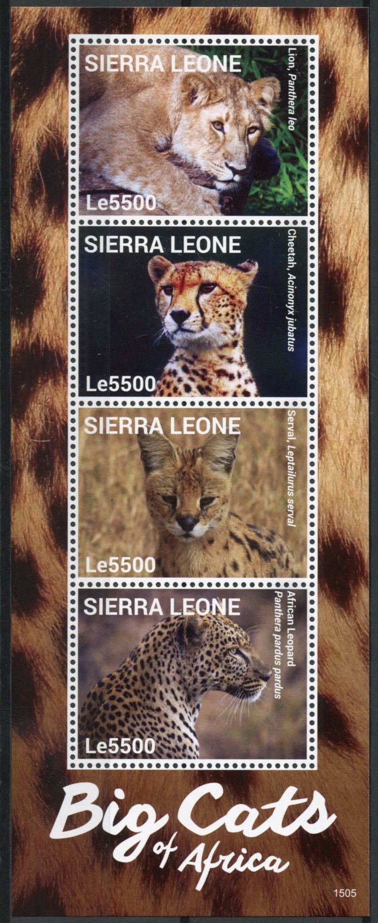 Sierra Leone 2015 MNH Big Cats of Africa 4v M/S I Wild Animals Lions Stamps