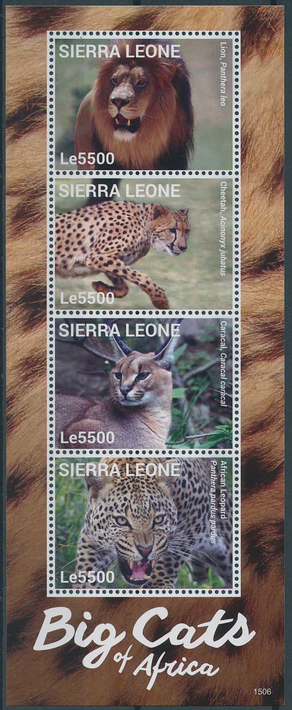 Sierra Leone 2015 MNH Wild Animals Stamps Big Cats of Africa Lions 4v M/S II