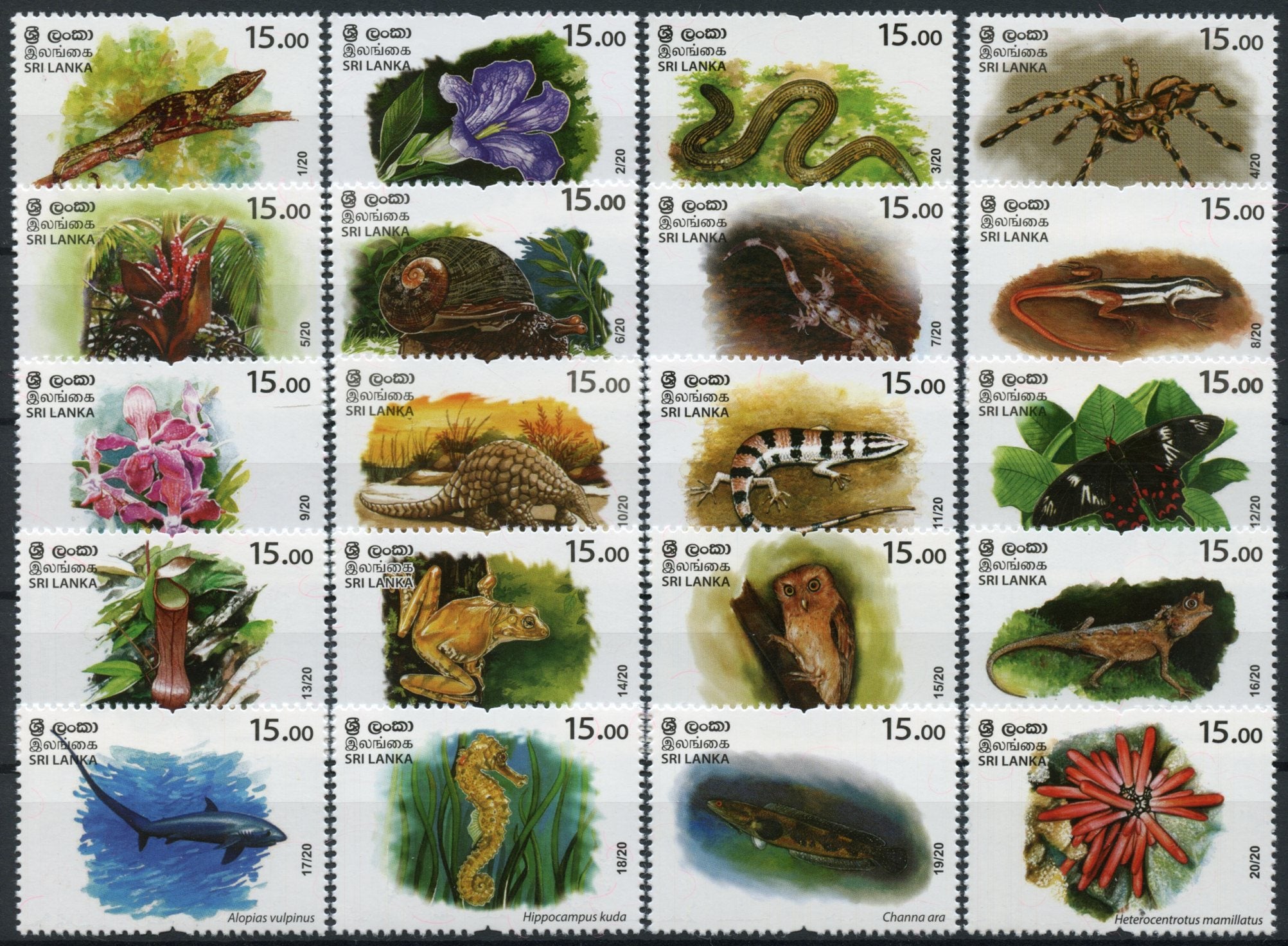 Sri Lanka 2020 MNH Wild Animals Stamps Threatened Species Lizards Snakes Flowers Butterflies 20v Set