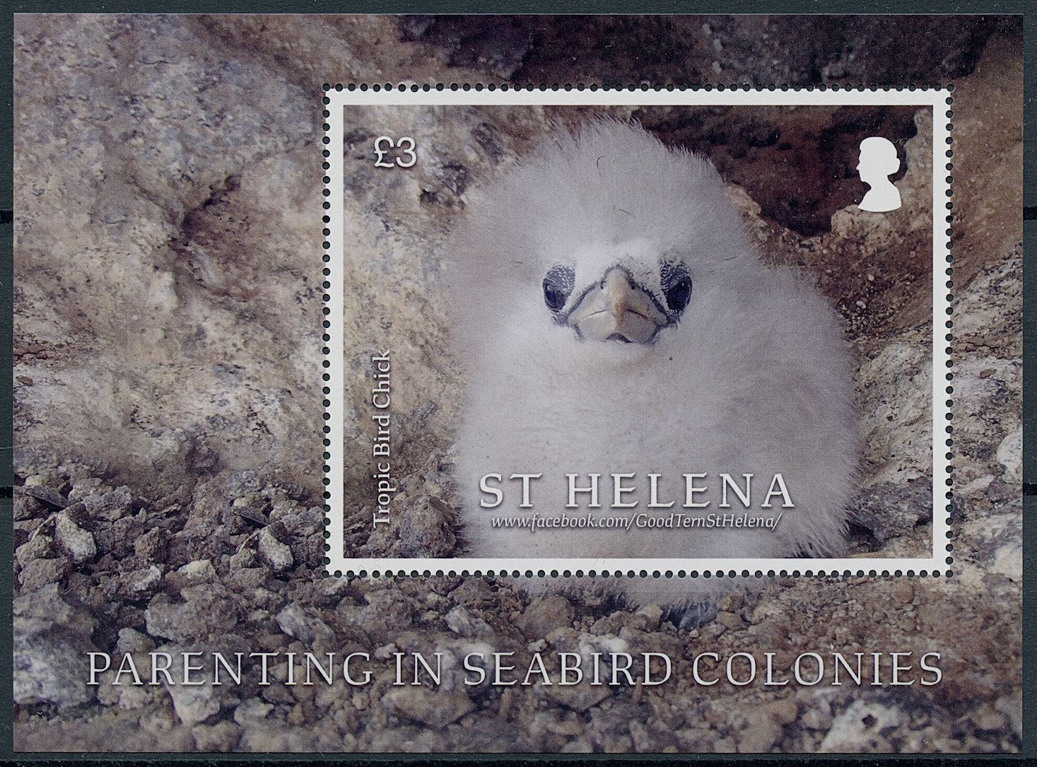St Helena 2021 MNH Birds on Stamps Parenting in Seabird Colonies Tropicbirds 1v M/S