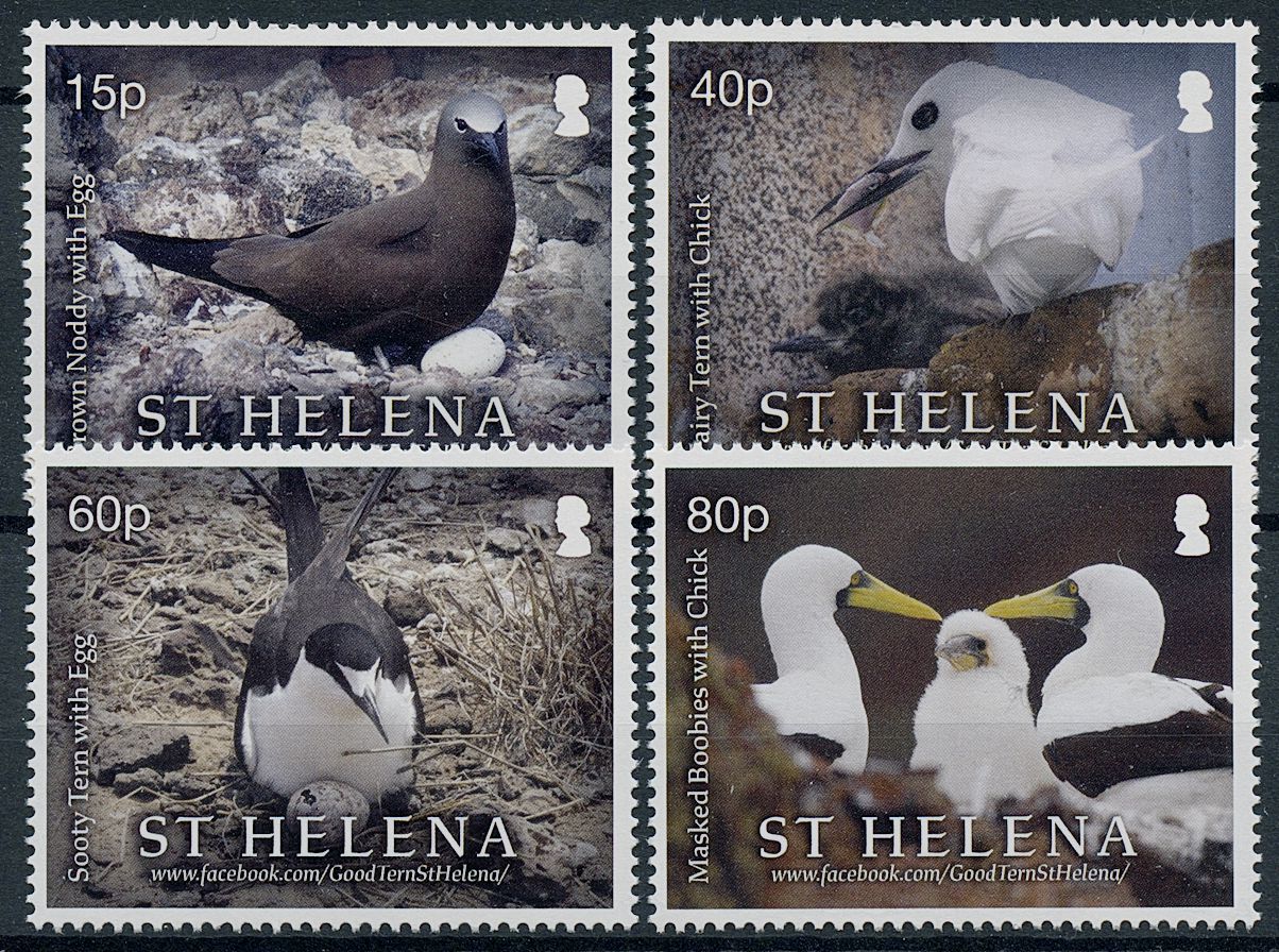 St Helena 2021 MNH Birds on Stamps Parenting in Seabird Colonies Terns Noddy 4v Set