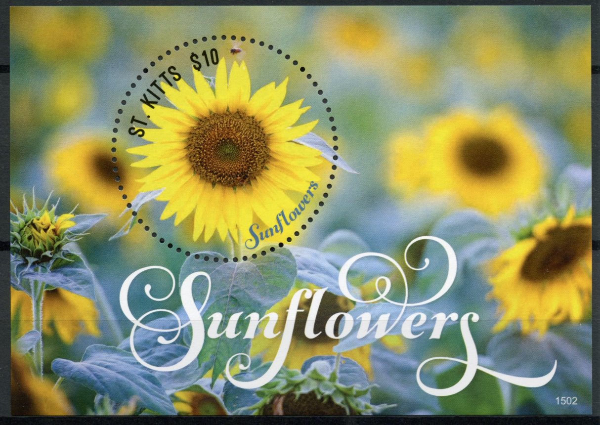 St Kitts 2015 MNH Sunflowers 1v S/S II Sun Flowers Nature Flora