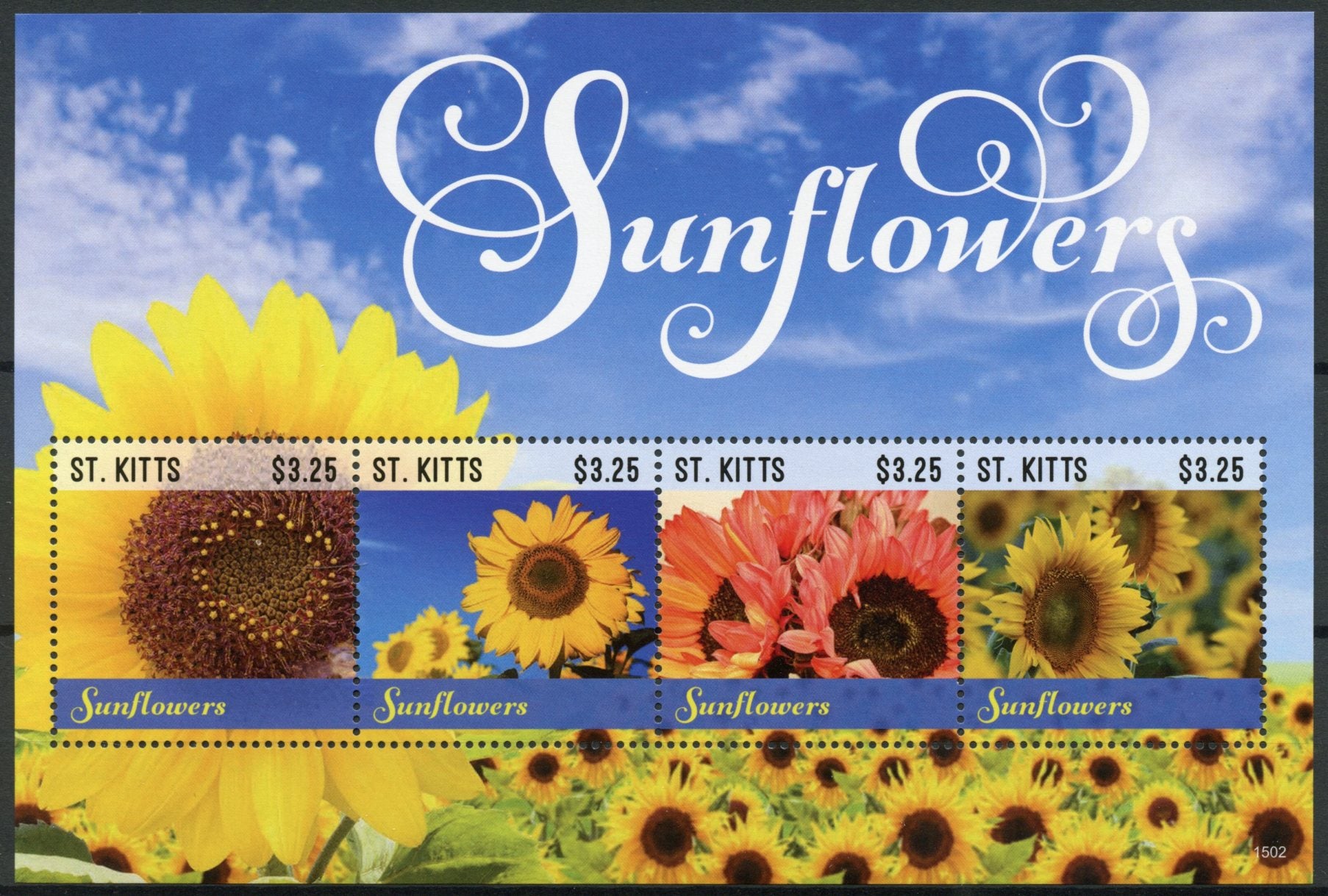 St Kitts 2015 MNH Sunflowers 4v M/S II Sun Flowers Nature Flora
