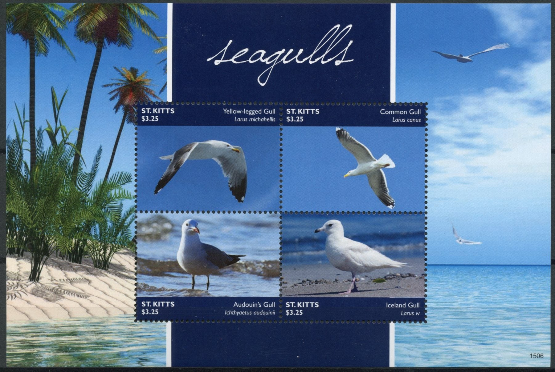 St Kitts 2015 MNH Seagulls 4v M/S II Birds Gulls Nature Fauna