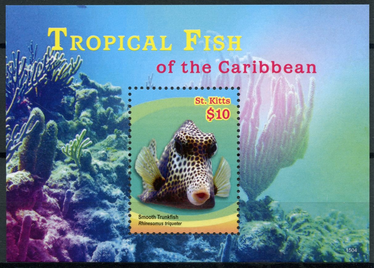 St Kitts 2015 MNH Fishes Stamps Tropical Fish of Caribbean Smooth Trunkfish 1v S/S II