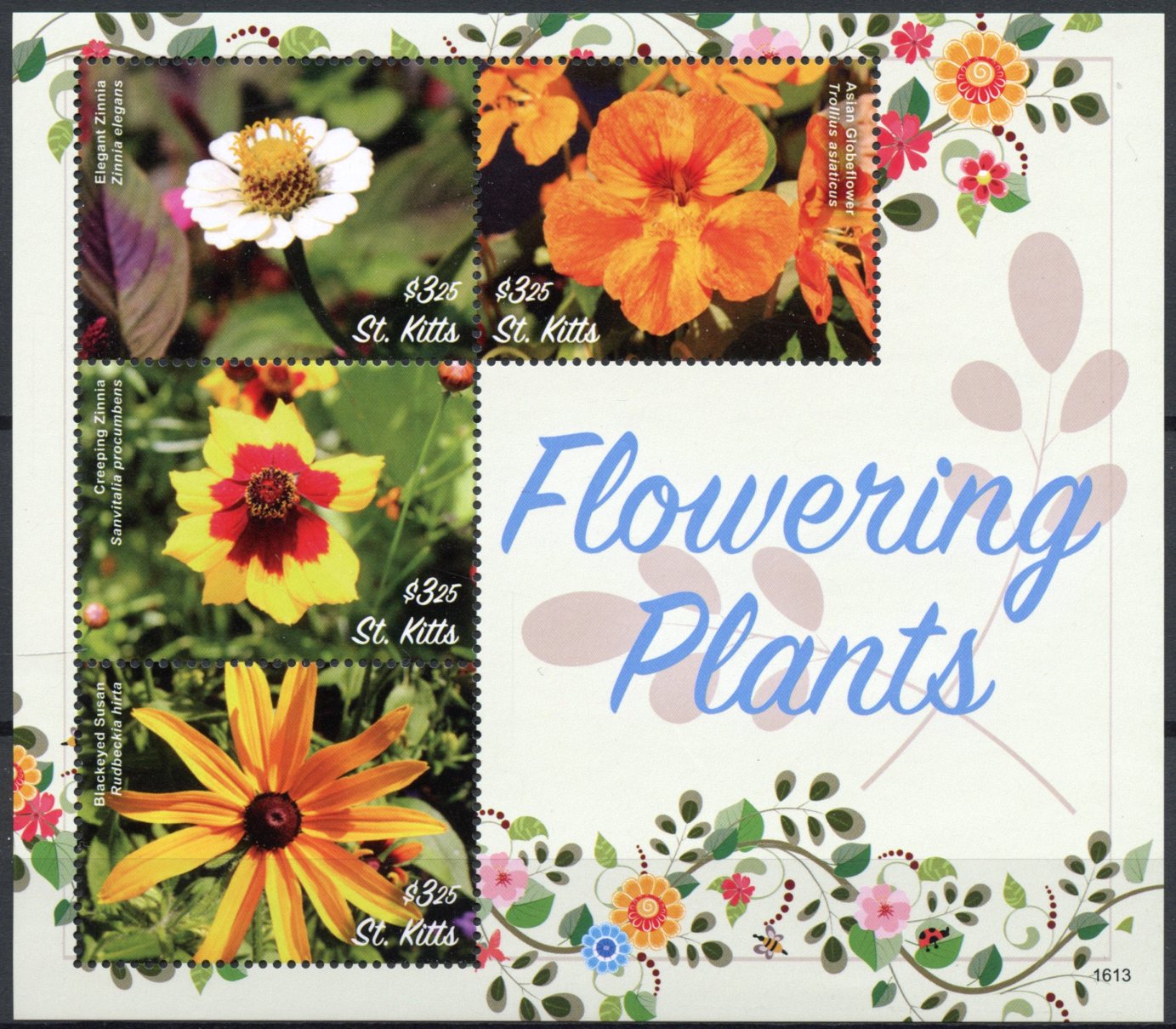 St Kitts 2016 MNH Flowering Plants 4v M/S Zinnia Globeflower Flowers Stamps