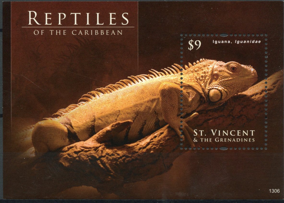 St Vincent Grenadines 2013 MNH Reptiles of Caribbean 1v S/S Lizards Iguana