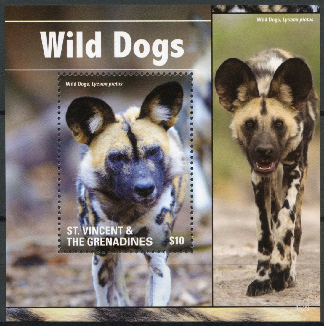 St Vincent & The Grenadines 2015 MNH Wild Dogs 1v S/S I Wild Animals