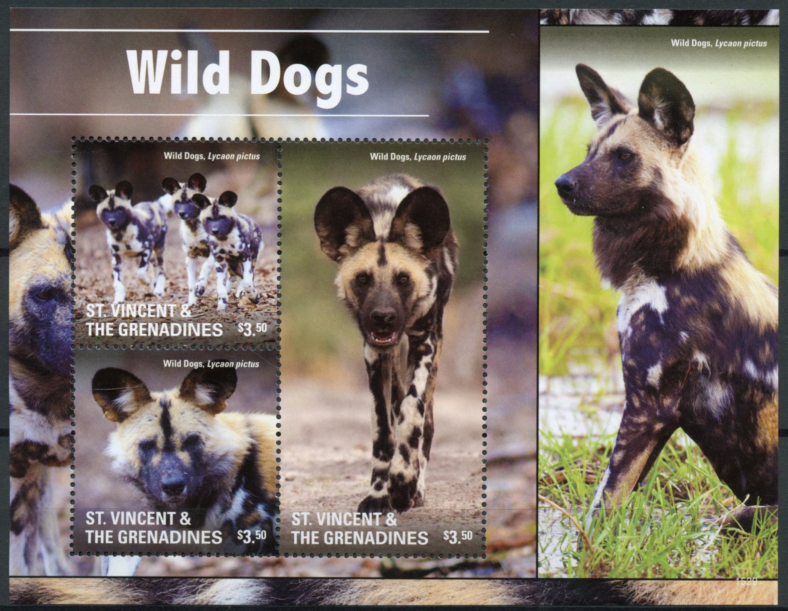St Vincent & The Grenadines 2015 MNH Wild Dogs 3v M/S I Wild Animals
