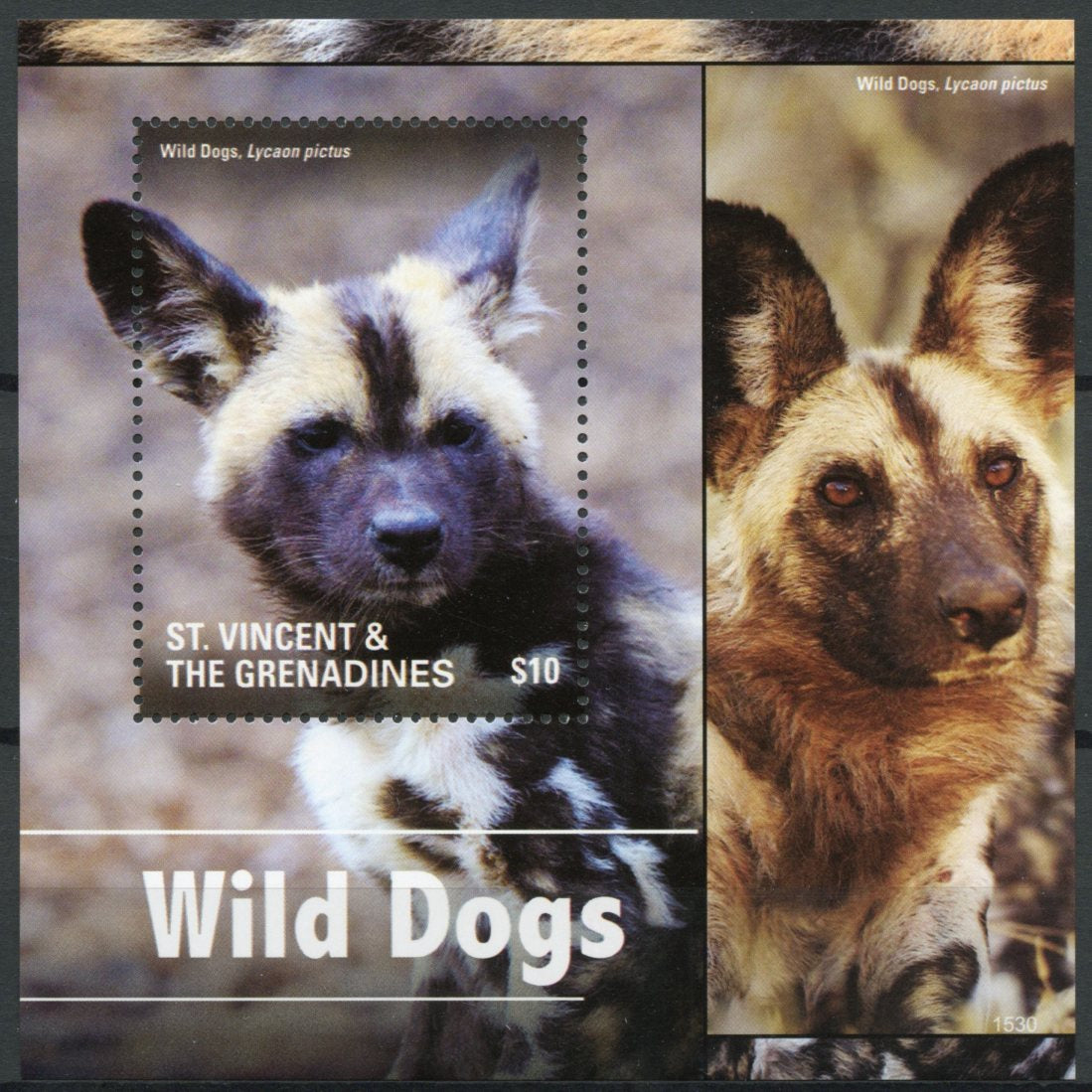 St Vincent & The Grenadines 2015 MNH Wild Dogs 1v S/S II Wild Animals