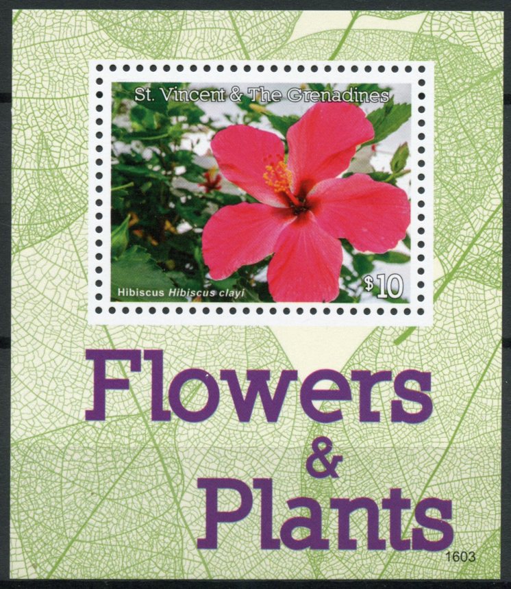 St Vincent & The Grenadines 2016 MNH Flowers & Plants 1v S/S Hibiscus