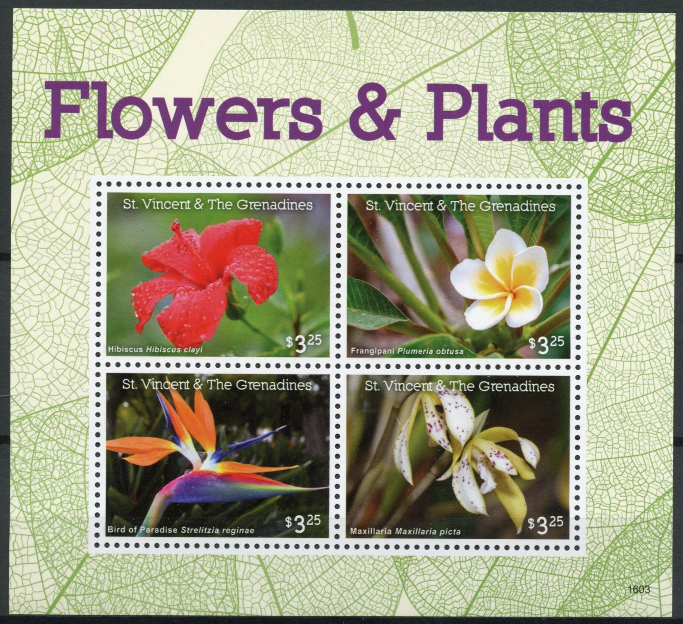 St Vincent & The Grenadines 2016 MNH Flowers & Plants 4v M/S Hibiscus Frangipani