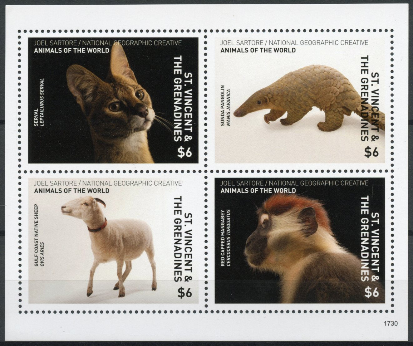 St Vincent & Grenadines 2017 MNH Wild Animals of World 4v M/S Monkeys Stamps