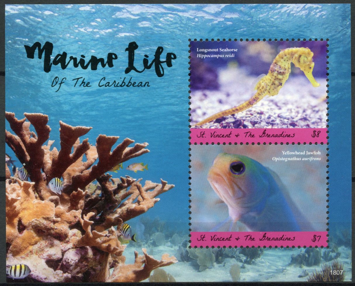 St Vincent & Grenadines 2018 MNH Marine Life of Caribbean 2v S/S Fish Stamps