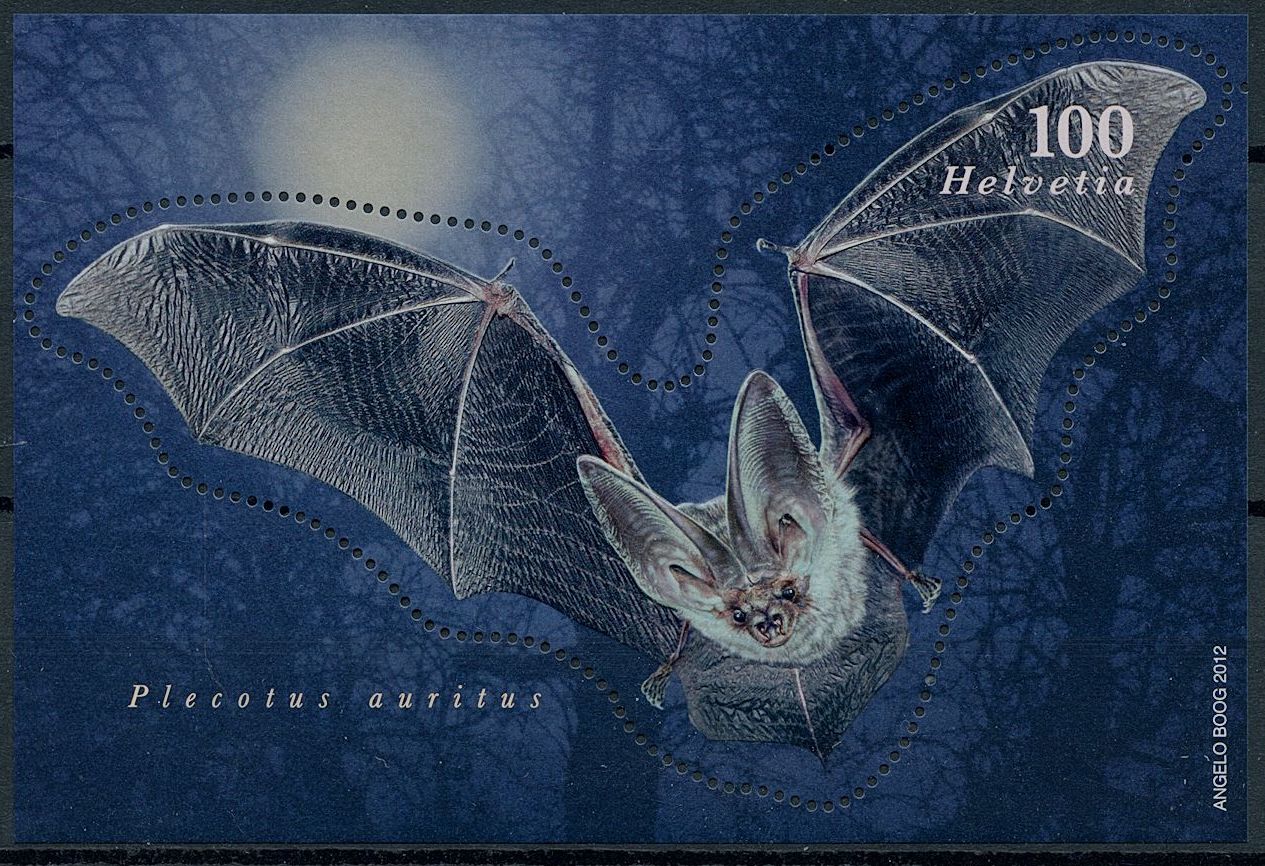 Switzerland 2012 MNH Wild Animals Stamps Fauna Bats Brown Long-Eared Bat Flying Mammals 1v M/S