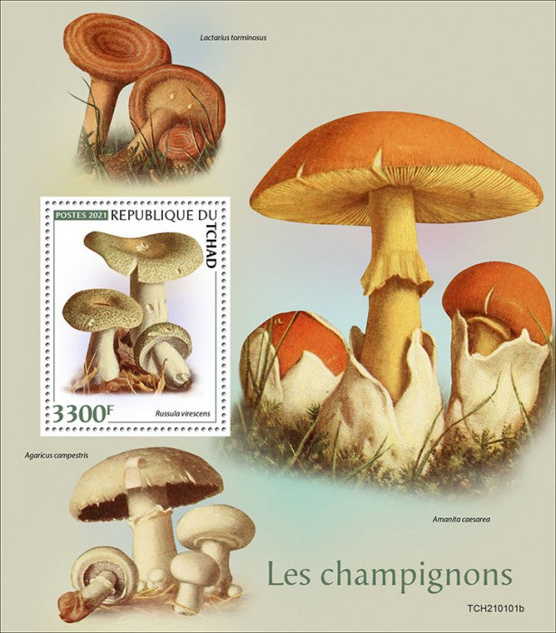 Chad 2021 MNH Mushrooms Stamps Morchella Fungi Nature 1v S/S