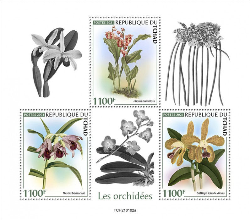 Chad 2021 MNH Orchids Stamps Flowers Cattleya Orchid Nature 3v M/S