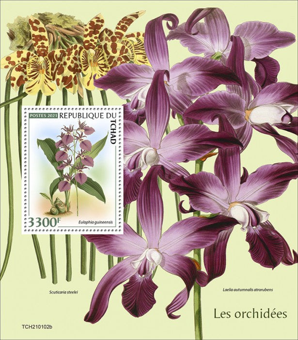 Chad 2021 MNH Orchids Stamps Flowers Eulophia Orchid Nature 1v S/S