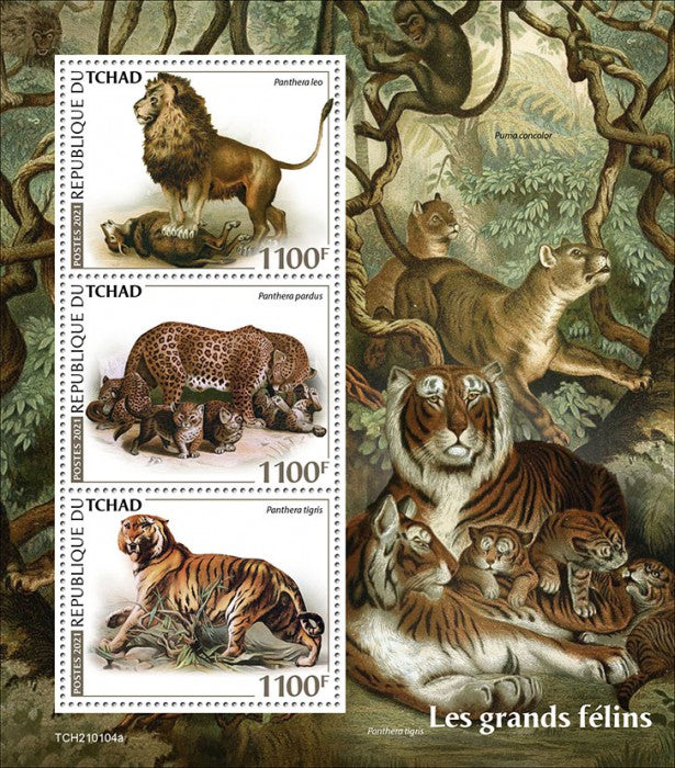 Chad 2021 MNH Wild Animals Stamps Big Cats Lions Tigers Leopards 3v M/S