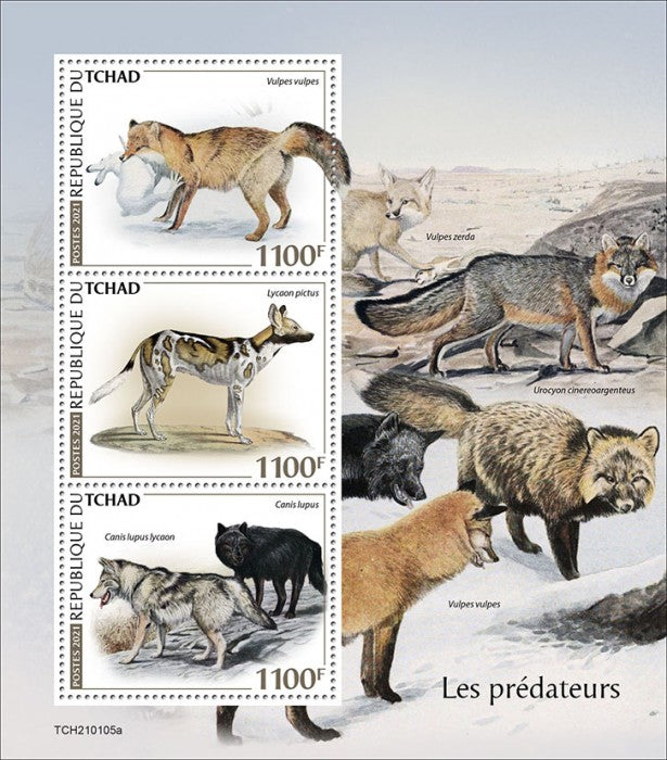 Chad 2021 MNH Wild Animals Stamps Predators Foxes African Wild Dogs Wolf 3v M/S