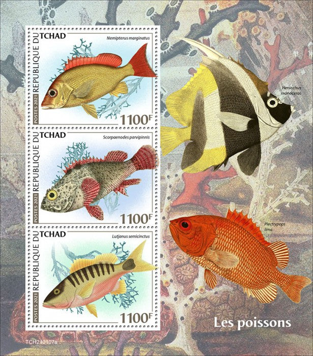 Chad 2021 MNH Fish Stamps Fishes 3v M/S