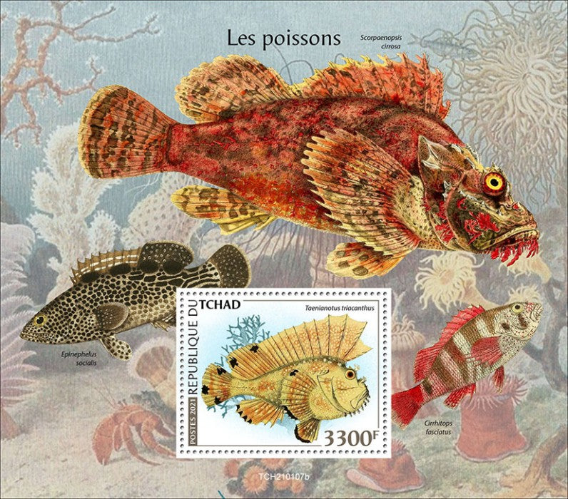 Chad 2021 MNH Fish Stamps Scorpionfish Fishes 1v S/S