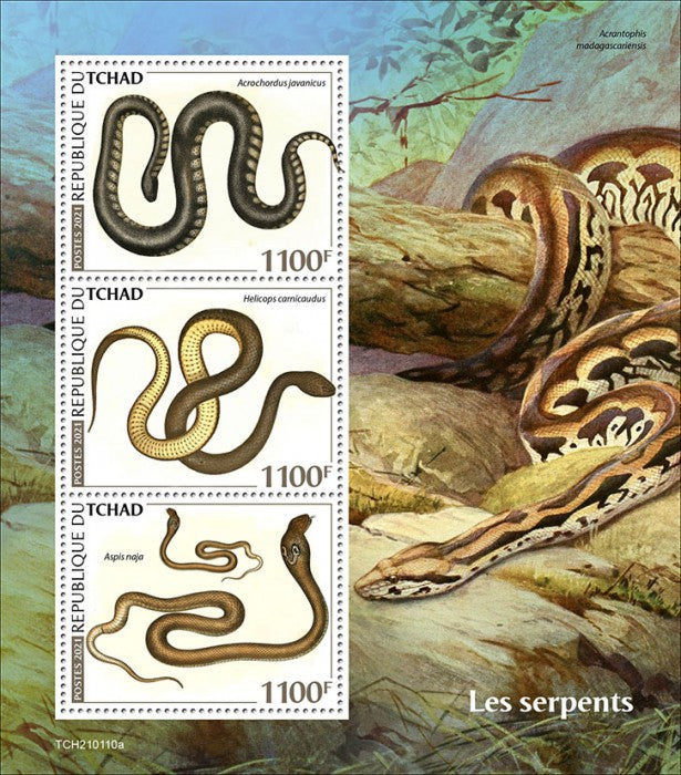 Chad 2021 MNH Reptiles Stamps Snakes Egyptian Cobra Elephant Trunk Snake 3v M/S