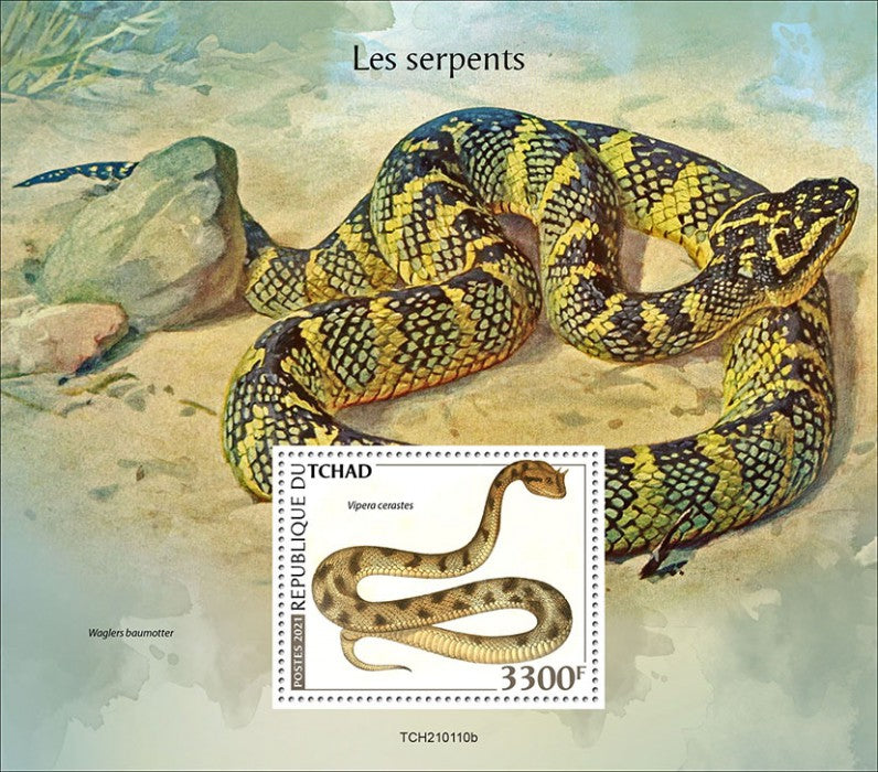 Chad 2021 MNH Reptiles Stamps Snakes Sahara Sand Viper Vipers Snake 1v S/S