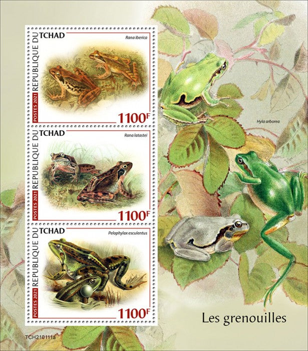 Chad 2021 MNH Amphibians Stamps Frogs Iberian Italian Agile Frog 3v M/S