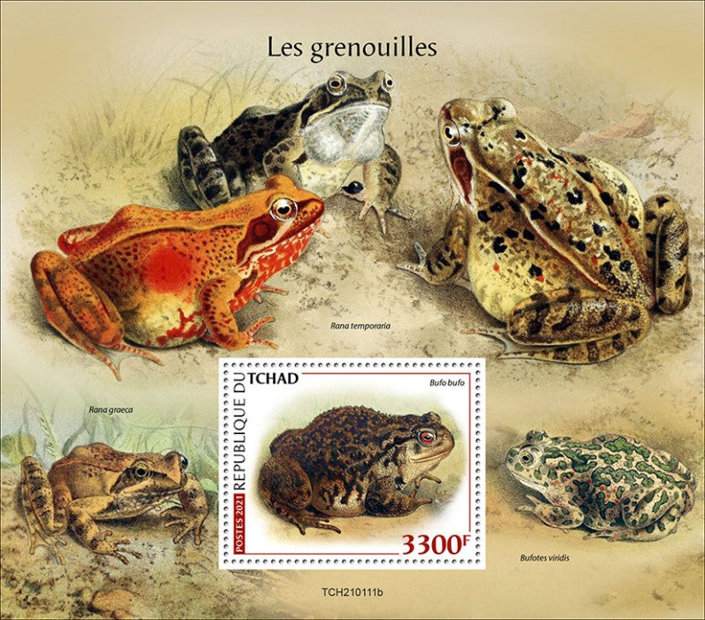 Chad 2021 MNH Amphibians Stamps Frogs Common Toad Frog 1v S/S