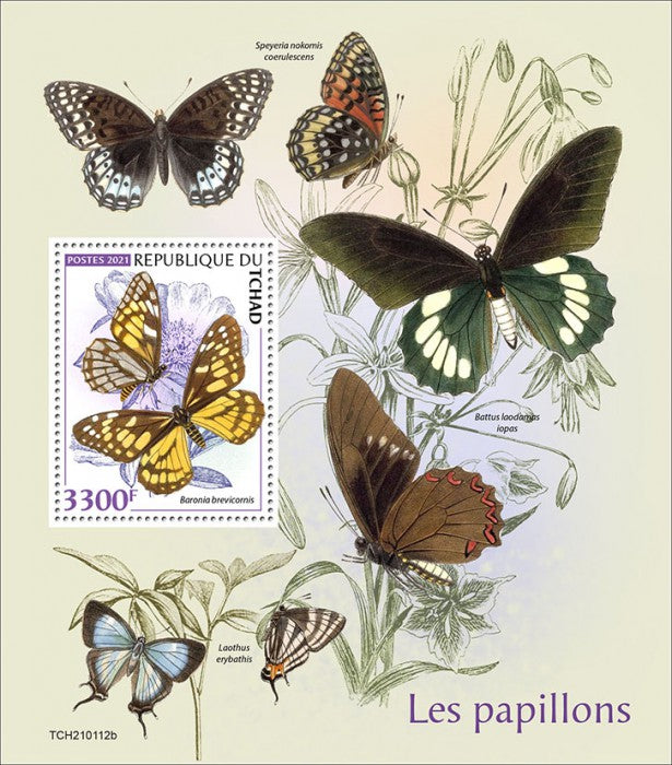 Chad 2021 MNH Butterflies Stamps Butterfly 1v S/S