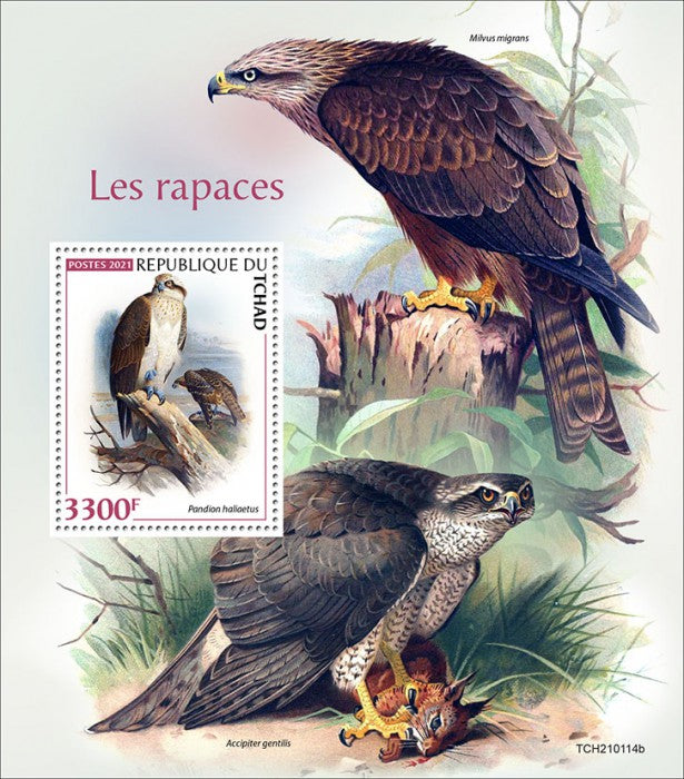 Chad 2021 MNH Birds of Prey on Stamps Raptors Ospreys Fish Eagles 1v S/S