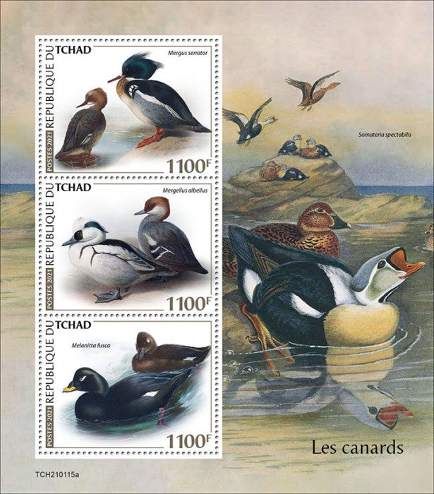 Chad 2021 MNH Birds on Stamps Ducks Smew Scoters Mergansers 3v M/S