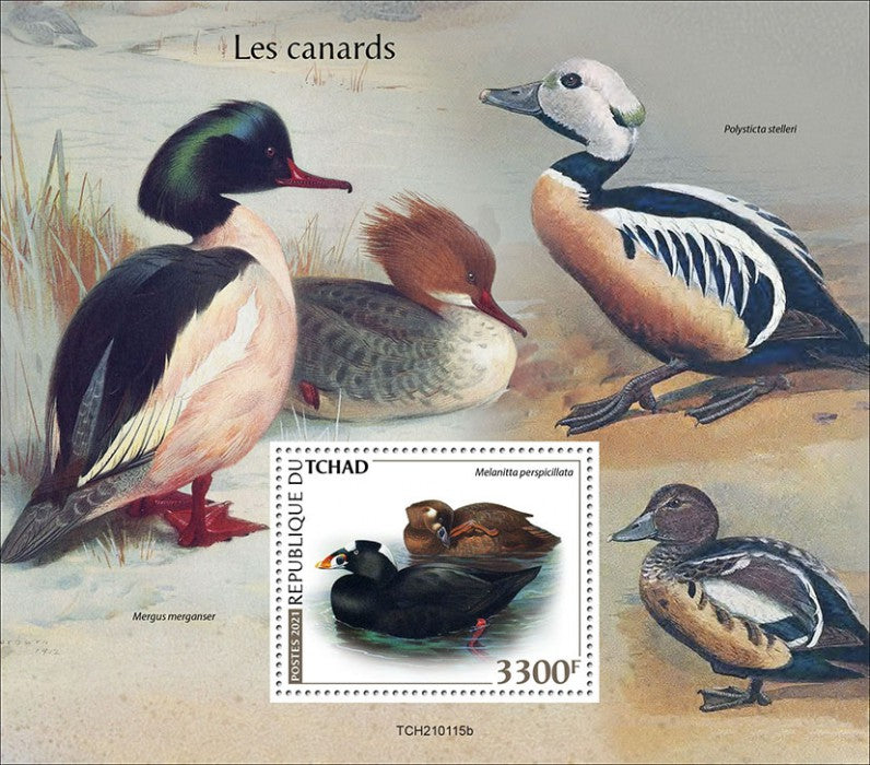 Chad 2021 MNH Birds on Stamps Ducks Surf Scoters Mergansers 1v S/S