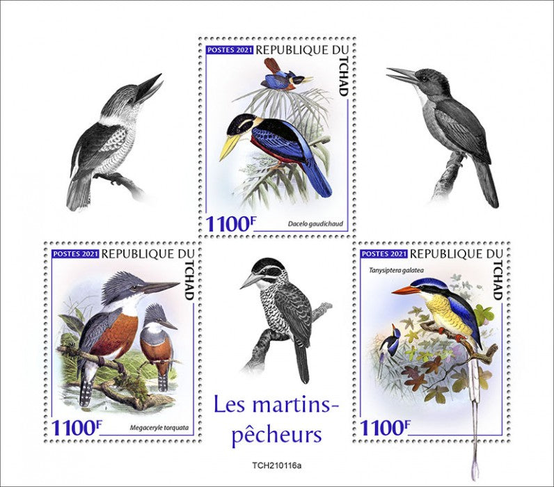 Chad 2021 MNH Birds on Stamps Kingfishers Rufous-Bellied Kookaburra Kingfisher 3v M/S