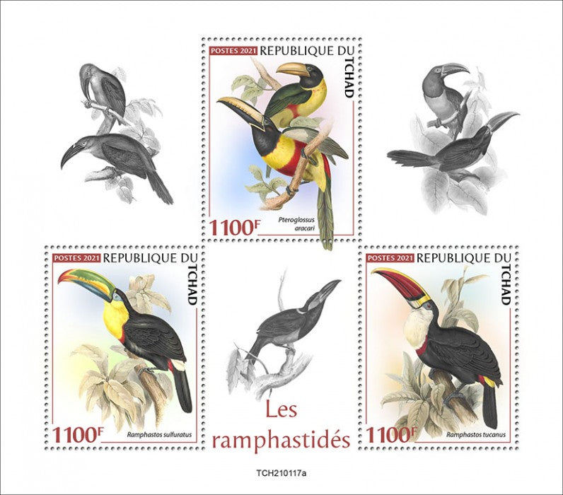 Chad 2021 MNH Birds on Stamps Toucans Keel-Billed Toucan 3v M/S