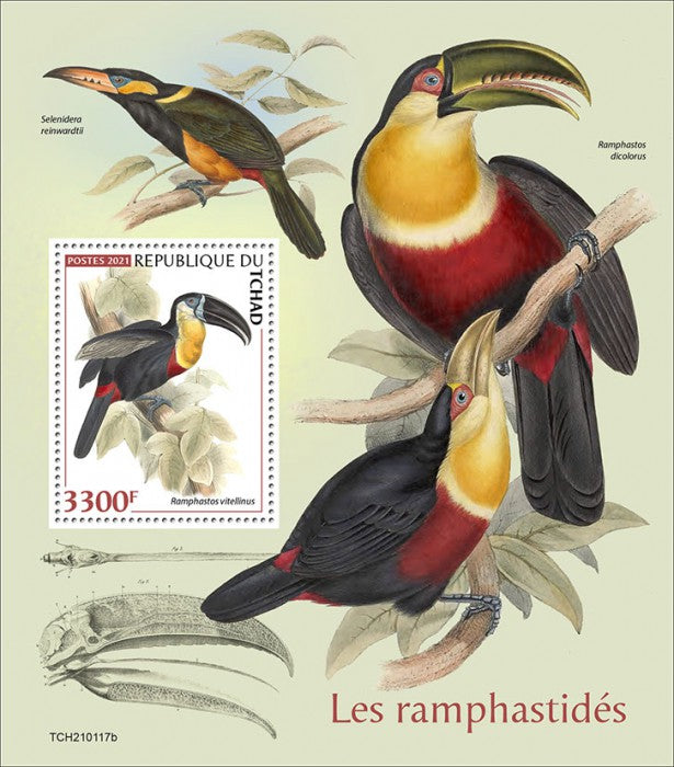 Chad 2021 MNH Birds on Stamps Toucans Channel-Billed Toucan 1v S/S