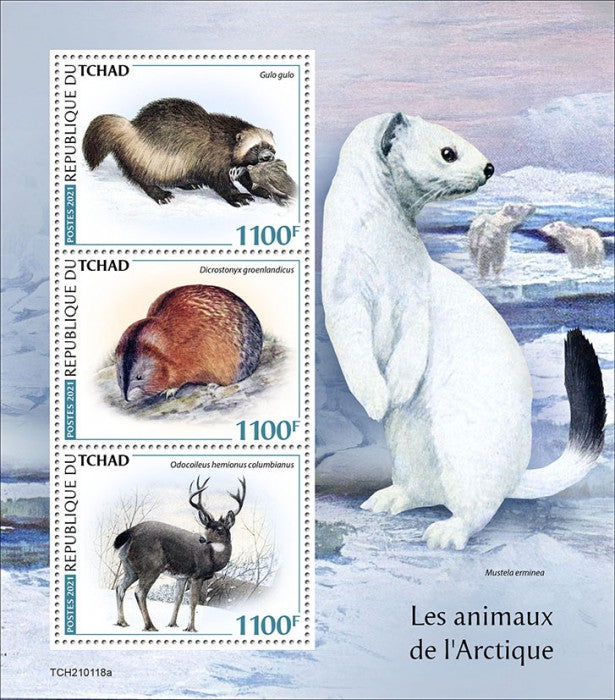 Chad 2021 MNH Wild Animals Stamps Arctic Animals Wolverine Deer 3v M/S