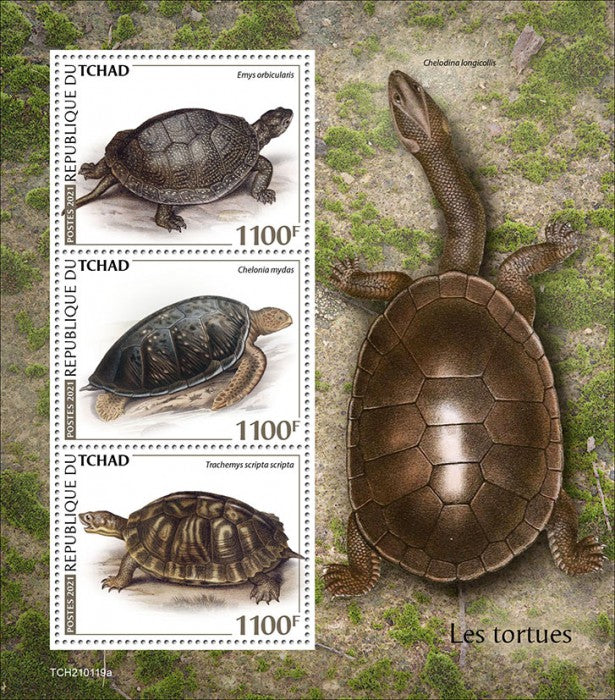 Chad 2021 MNH Reptiles Stamps Turtles Pond Green Sea Turtle Reptiles 3v M/S